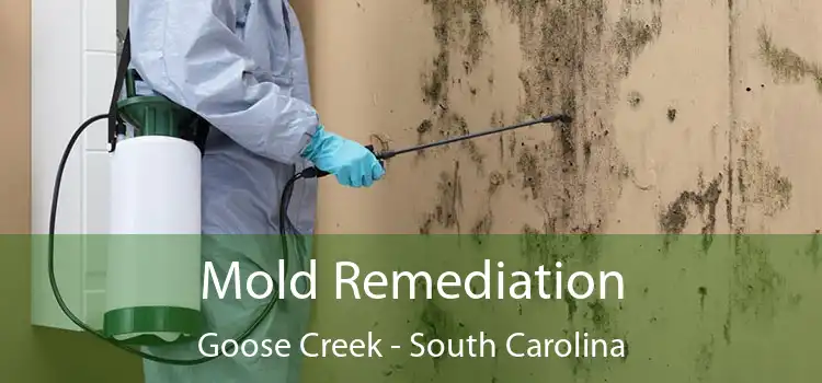 Mold Remediation Goose Creek - South Carolina