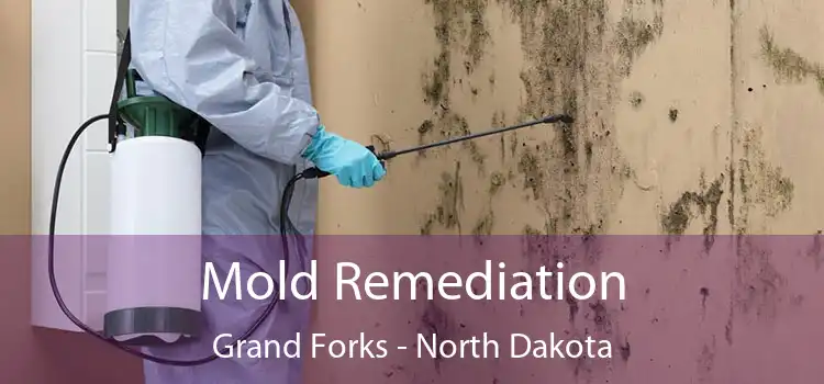 Mold Remediation Grand Forks - North Dakota