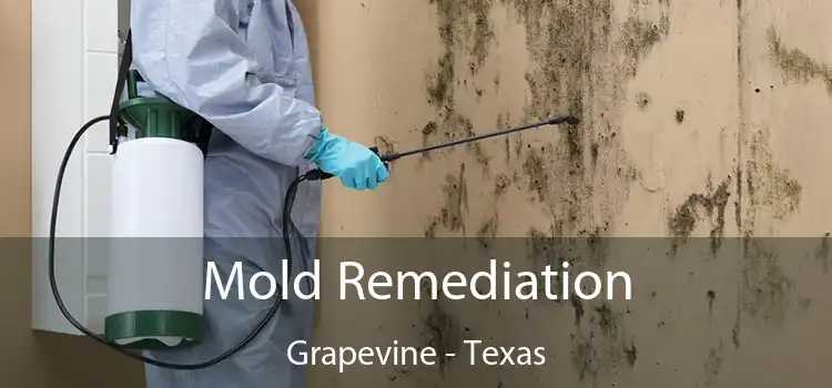 Mold Remediation Grapevine - Texas