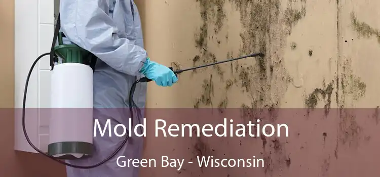 Mold Remediation Green Bay - Wisconsin