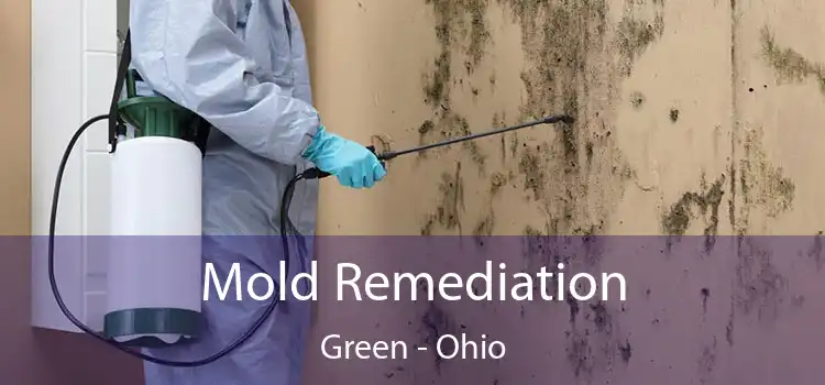 Mold Remediation Green - Ohio