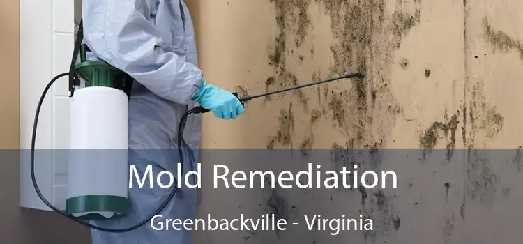 Mold Remediation Greenbackville - Virginia