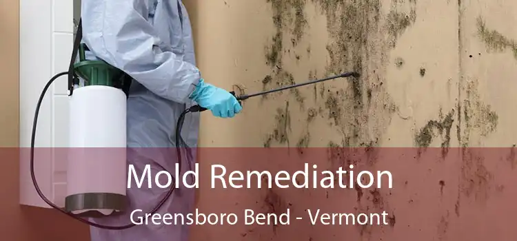 Mold Remediation Greensboro Bend - Vermont