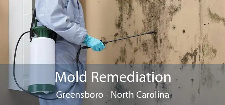 Mold Remediation Greensboro - North Carolina