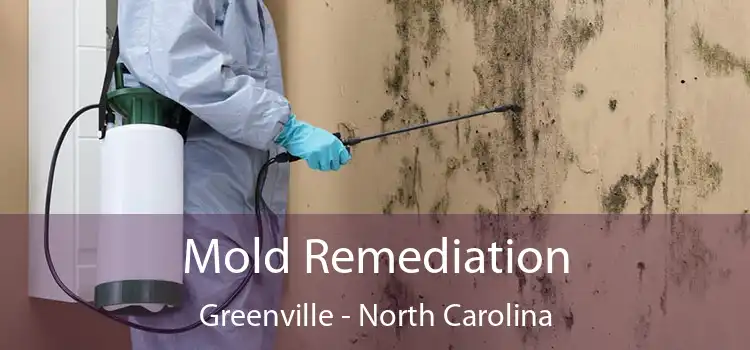 Mold Remediation Greenville - North Carolina