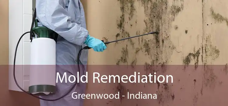 Mold Remediation Greenwood - Indiana