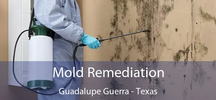 Mold Remediation Guadalupe Guerra - Texas