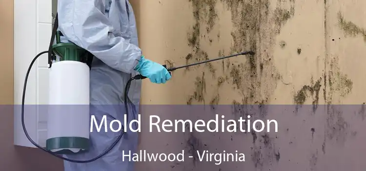 Mold Remediation Hallwood - Virginia