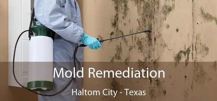 Mold Remediation Haltom City - Texas