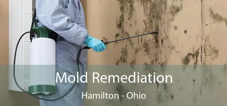 Mold Remediation Hamilton - Ohio