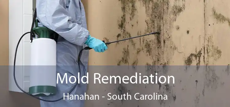 Mold Remediation Hanahan - South Carolina