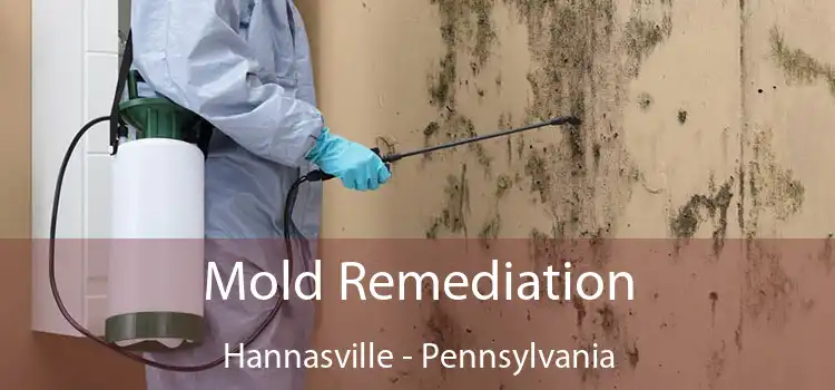 Mold Remediation Hannasville - Pennsylvania