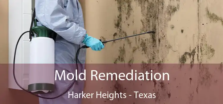 Mold Remediation Harker Heights - Texas