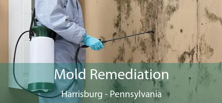 Mold Remediation Harrisburg - Pennsylvania