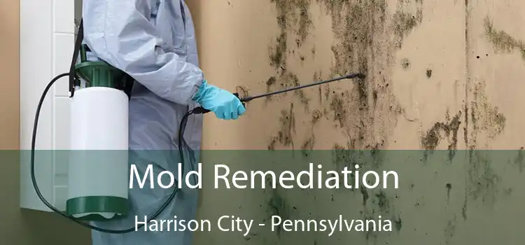 Mold Remediation Harrison City - Pennsylvania