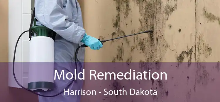 Mold Remediation Harrison - South Dakota