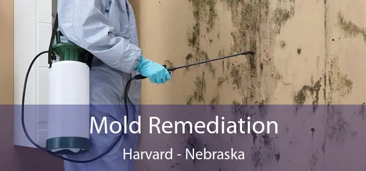 Mold Remediation Harvard - Nebraska