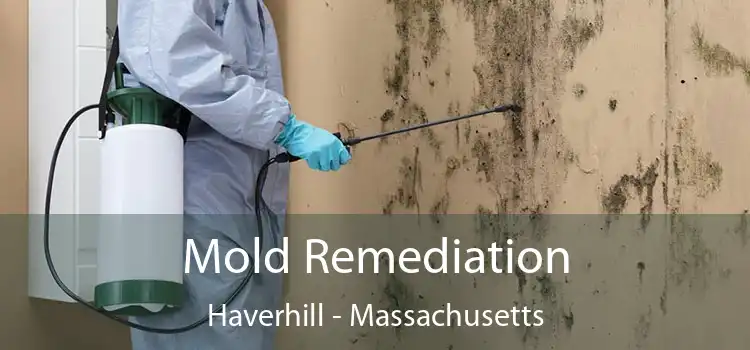 Mold Remediation Haverhill - Massachusetts