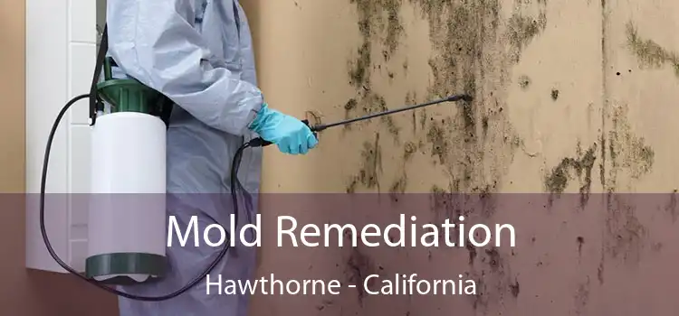 Mold Remediation Hawthorne - California