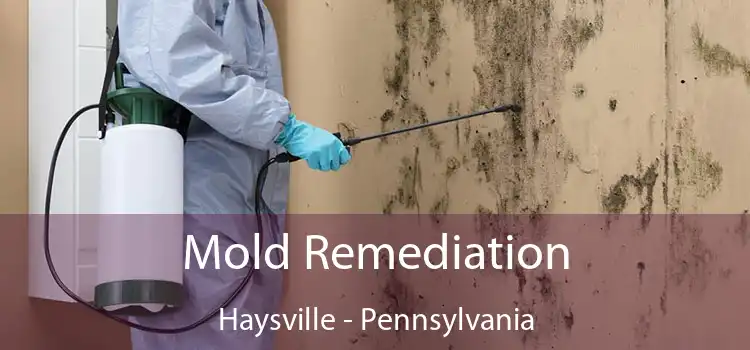 Mold Remediation Haysville - Pennsylvania