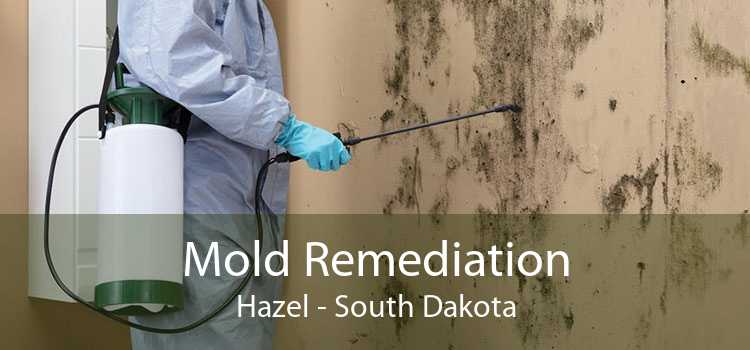 Mold Remediation Hazel - South Dakota