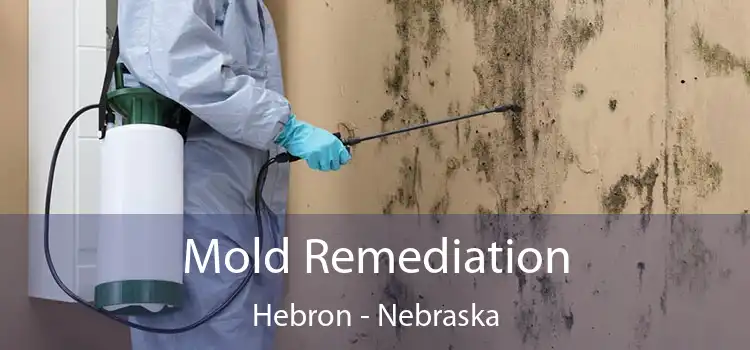 Mold Remediation Hebron - Nebraska