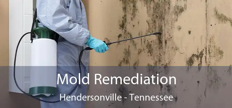 Mold Remediation Hendersonville - Tennessee