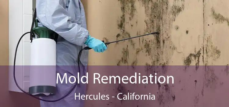 Mold Remediation Hercules - California