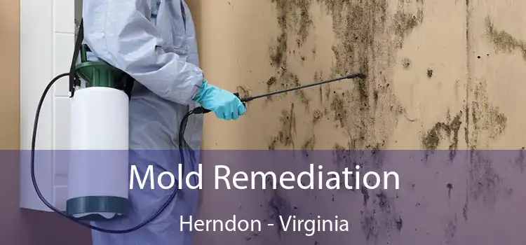 Mold Remediation Herndon - Virginia