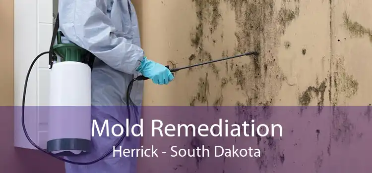Mold Remediation Herrick - South Dakota