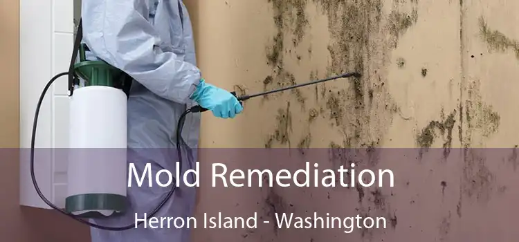 Mold Remediation Herron Island - Washington