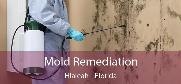 Mold Remediation Hialeah - Florida