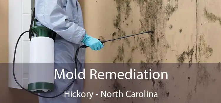 Mold Remediation Hickory - North Carolina