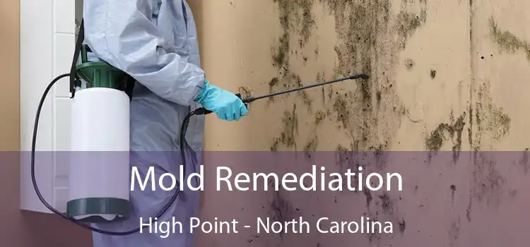 Mold Remediation High Point - North Carolina