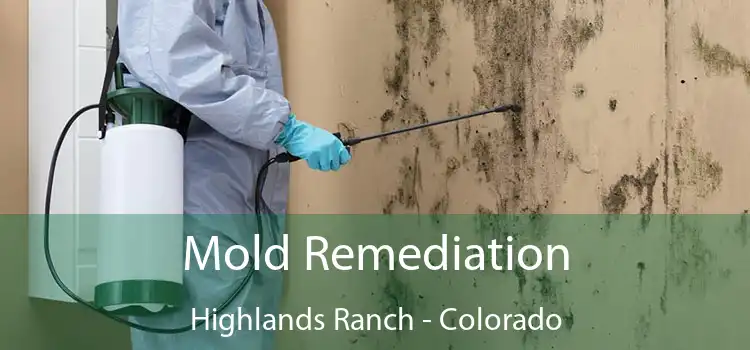 Mold Remediation Highlands Ranch - Colorado