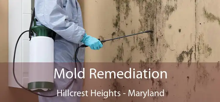 Mold Remediation Hillcrest Heights - Maryland