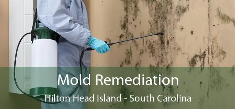 Mold Remediation Hilton Head Island - South Carolina