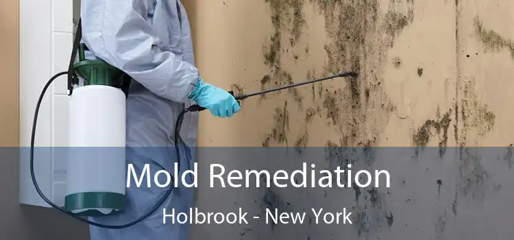 Mold Remediation Holbrook - New York