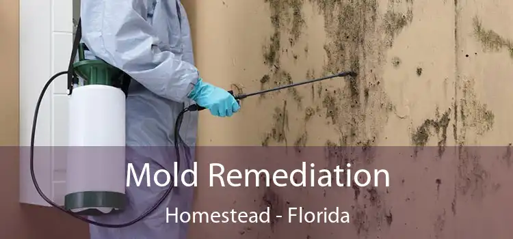 Mold Remediation Homestead - Florida