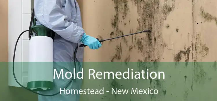 Mold Remediation Homestead - New Mexico