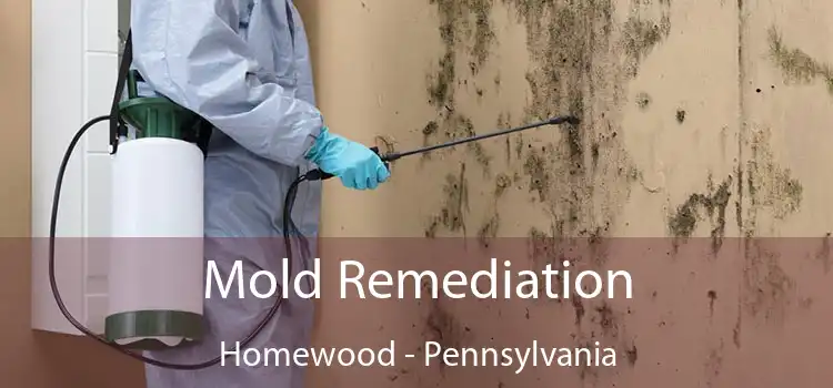 Mold Remediation Homewood - Pennsylvania