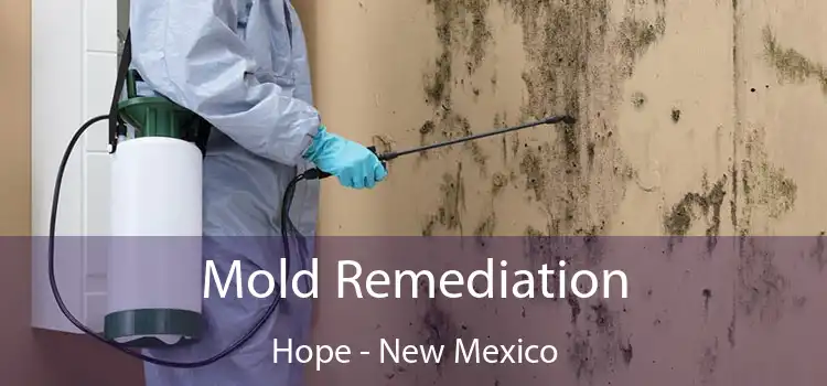 Mold Remediation Hope - New Mexico