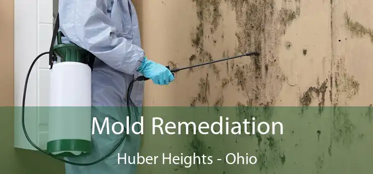 Mold Remediation Huber Heights - Ohio