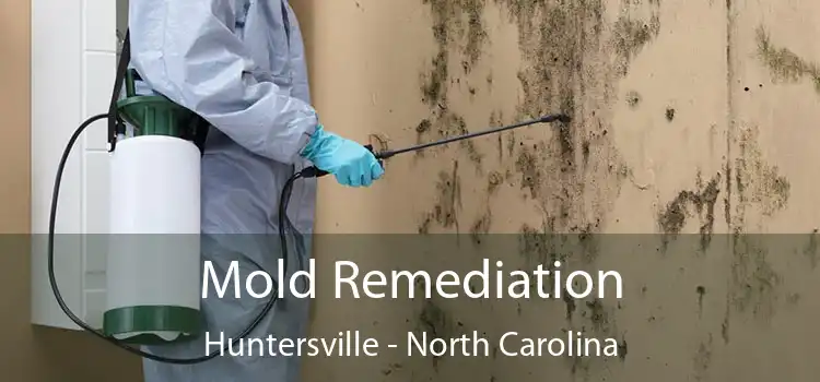 Mold Remediation Huntersville - North Carolina