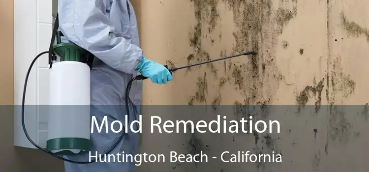 Mold Remediation Huntington Beach - California