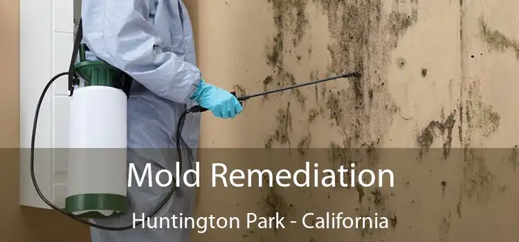 Mold Remediation Huntington Park - California