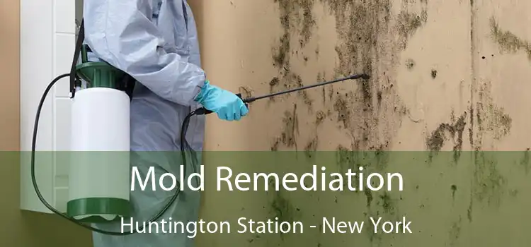 Mold Remediation Huntington Station - New York