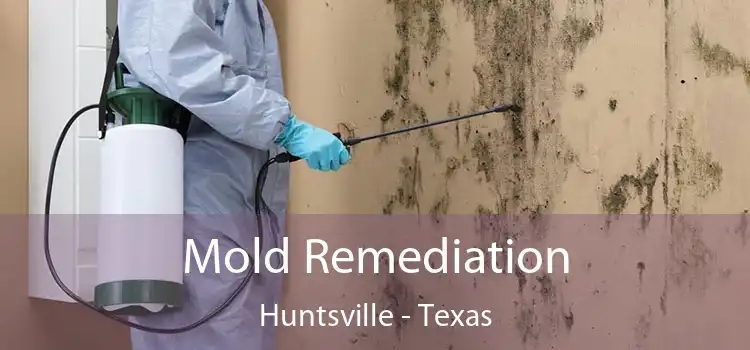 Mold Remediation Huntsville - Texas