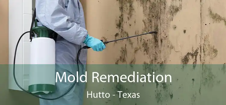 Mold Remediation Hutto - Texas