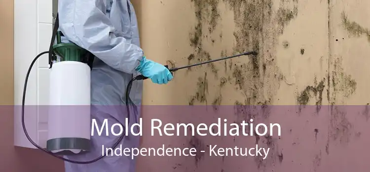 Mold Remediation Independence - Kentucky